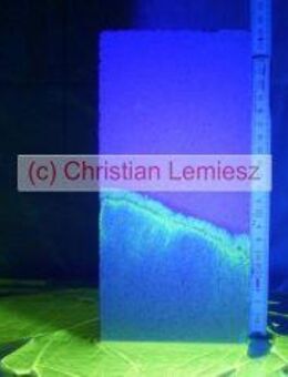 eBook "Durchnässung von Kalksandsteinen" - Schimmelpilze - Ratingen Zentrum