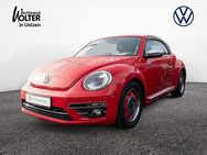 VW Beetle, 2.0 TDI Cabriolet Design, Jahr 2017 - Uelzen