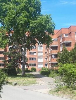 Investition in die Zukunft! - Lüneburg