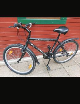Fahrrad 26 zoll - Aue Zentrum