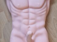 Erotischer Männer Torso mit schönen 19*4 cm Penis / NEU - Marl (Nordrhein-Westfalen)