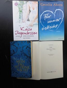 55 Bücher zus. 5,- Frauenromane Liebesromane Romane für Frauen - Flensburg