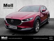 Mazda CX-30, 150PS M-Hybrid S SELECTION DES-P PRE-P, Jahr 2023 - Düren