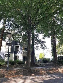 Top Wohnung in Top Lage! - Dortmund