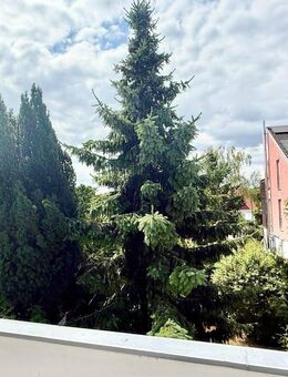 Dreifamilienhaus mit vielen Nutzungsmöglichkeiten in schöner, ruhiger Lage v. N-Thon - Nürnberg