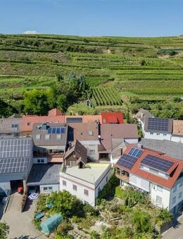 Die ganz besondere Immobilie mitten im schönen Kaiserstuhl! - Vogtsburg (Kaiserstuhl)