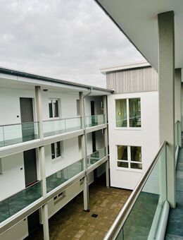 Moderne 3-Zimmer-Wohnung im KfW-55-Standard - 81m², barrierefrei, mit Balkon in ruhiger Lage - Borken (Hessen)