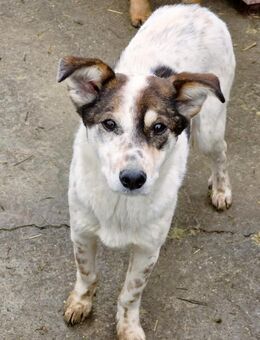 Schüchterne Rumee sucht erfahrene Leute - Düsseldorf