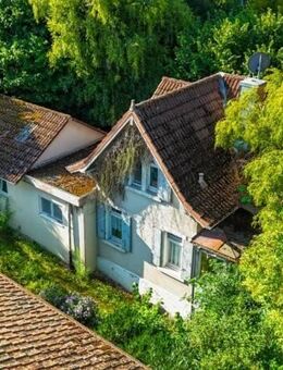 Einfamilienhaus im Grünen zum Wachküssen - Müllheim