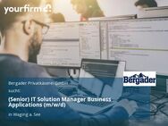 (Senior) IT Solution Manager Business Applications (m/w/d) - Waging (See)