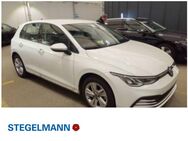 VW Golf, 1.5 TSI VIII Life, Jahr 2024 - Lemgo