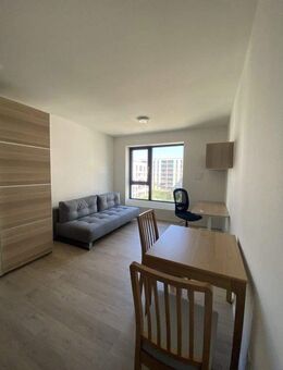 Modern möbliertes 1-Zimmer-Apartment in zentraler Lage von Nürnberg - Nürnberg