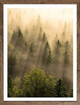 Bönninghoff Bild mit Rahmen, Bäume, Landschaft, Natur, Wald, Waldbilder, Wiesen & Bäume, mystischer Wald (1 St)