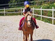 Welsh A Wallach 6 Jahre 118 cm - Tittling
