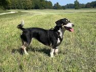 Blueberry sucht ihre Traumfrau - München