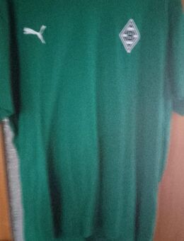 Borussia Mönchengladbach T-Shirt Größe 3XL ungetragen - Mönchengladbach