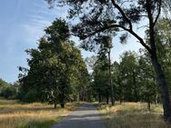 Mehrgenerationenwohnen im idyllischen Landsitz in Pietschen - Heideblick