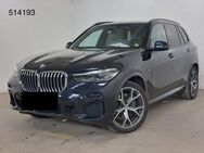 BMW X5 xDr 30 M Sport 21 DisplayK Pano Sthz CockpPro - Steinbach-Hallenberg