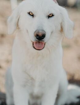 Feine Lady - Stuttgart