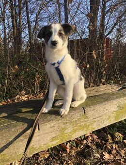 HOLLY ❤ - Langenhagen