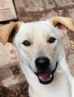 Florentine ist voller Lebensfreude! - Karben