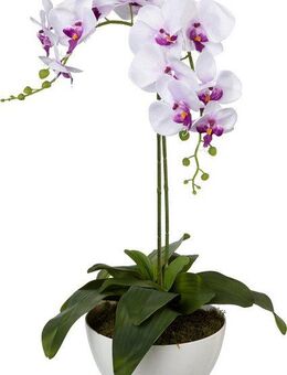 Kunstpflanze Orchidee, Creativ green, Höhe 65 cm