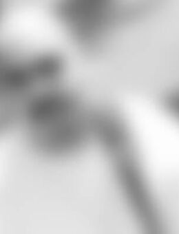 Chi*** - Rüsselsheim