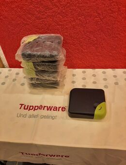 Tupperware CD DVD Aufbewahrungs Dosen - Büdingen