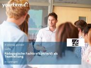 Pädagogische Fachkraft (m/w/d) als Teamleitung - Uplengen