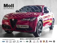 Alfa Romeo Stelvio, Competizione Q4, Jahr 2023 - Köln