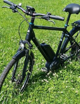 Pegasus Strong E10 28zoll, 55cm, max. 180KG - Reichshof