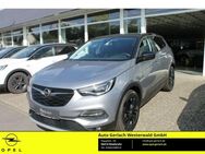 Opel Grandland 1.2 Turbo EU6d 2020 LED Kurvenlicht Apple CarPlay Android Auto Mehrzonenklima - Niederahr