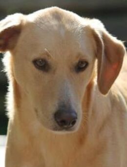 Nemo, leise Seele... - Bad Vilbel