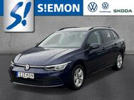 VW Golf Variant, 8 TDI Life hzbLenk, Jahr 2021 - Warendorf