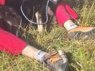 Leo sucht seine Familie - Neuried (Baden-Württemberg)