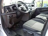 Ford Transit Custom 300 L2 - Sigmarszell