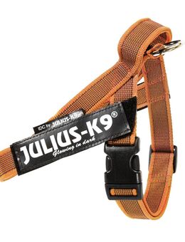 Julius-K9 IDC® Color & Grey Gurtgeschirr, orange/grau - Größe S/Mini: Brustumfang 49 - 67 cm