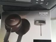 SONY WIRELESS COMFORT KOPFHÖRER - Friedrichsdorf