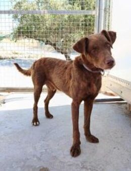 Tender musste zurückbleiben - Berlin