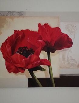 Leinwandbild Mohn - Hannover