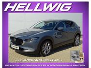 Mazda CX-30, 2.0 l (150PS) Exclusive Driver& Design-Paket 2024 NEU, Jahr 2022 - Hoyerswerda