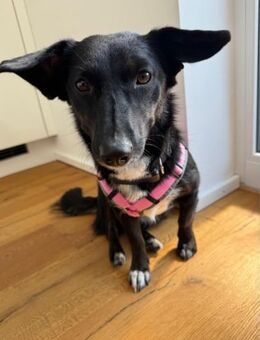 Aufgeschlossene Suna - Beckingen