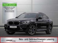 BMW X4 M xDrive //Leder/Head-Up/360° Kamera/ Parkassistent - Thannhausen