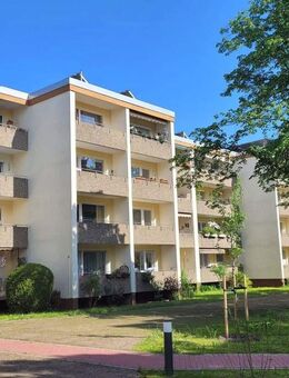 helle 4-Zi-Whg mit Balkon - perfekt für junge Familien - im 2. Stock von privat - Wiesbaden