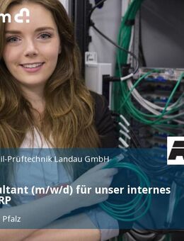 ERP-Consultant (m/w/d) für unser internes Team IT ERP - Landau (Pfalz)