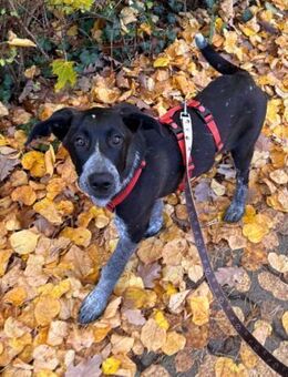 Kinga sucht ihre Familie - Berlin