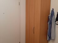Falttürenschrank mit Einlegeböden - Neukirchen (Pleiße)