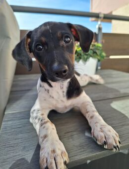 Ein Wirbelwind mit Herz - Neckartenzlingen