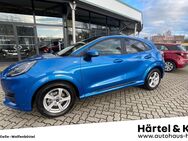 Ford Puma, Hybrid ST-Line WKR, Jahr 2021 - Braunschweig