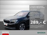 Skoda Kodiaq, 2.0 TDI Selection ° 19, Jahr 2024 - Melle